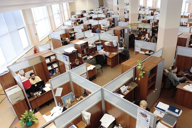 Image shows a large office space with desks separated by dividers, each worker sitting in their little cubicle at a computer.